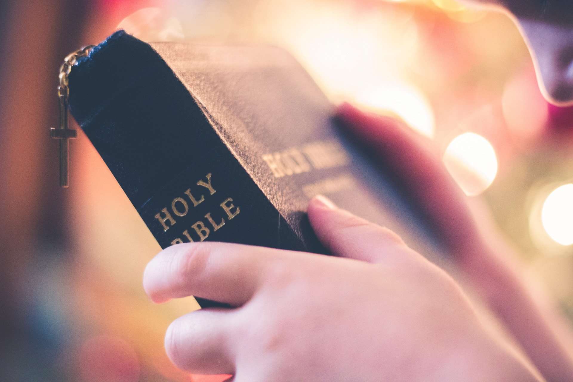 online bible reading online bible reading